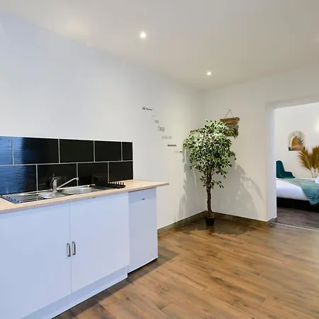 Capstay I Grande Rue - Jacuzzi - Netflix * Roubaix